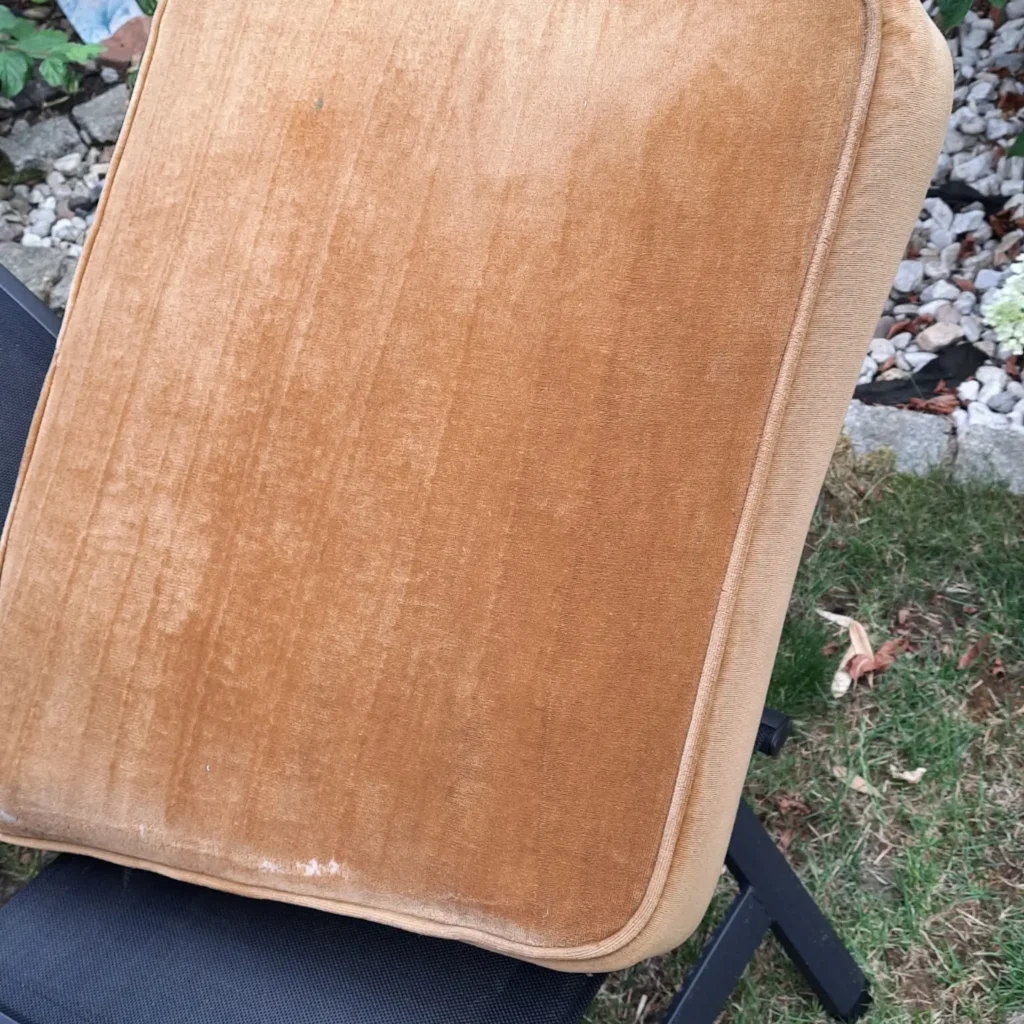 IMG_20240711_122843_673